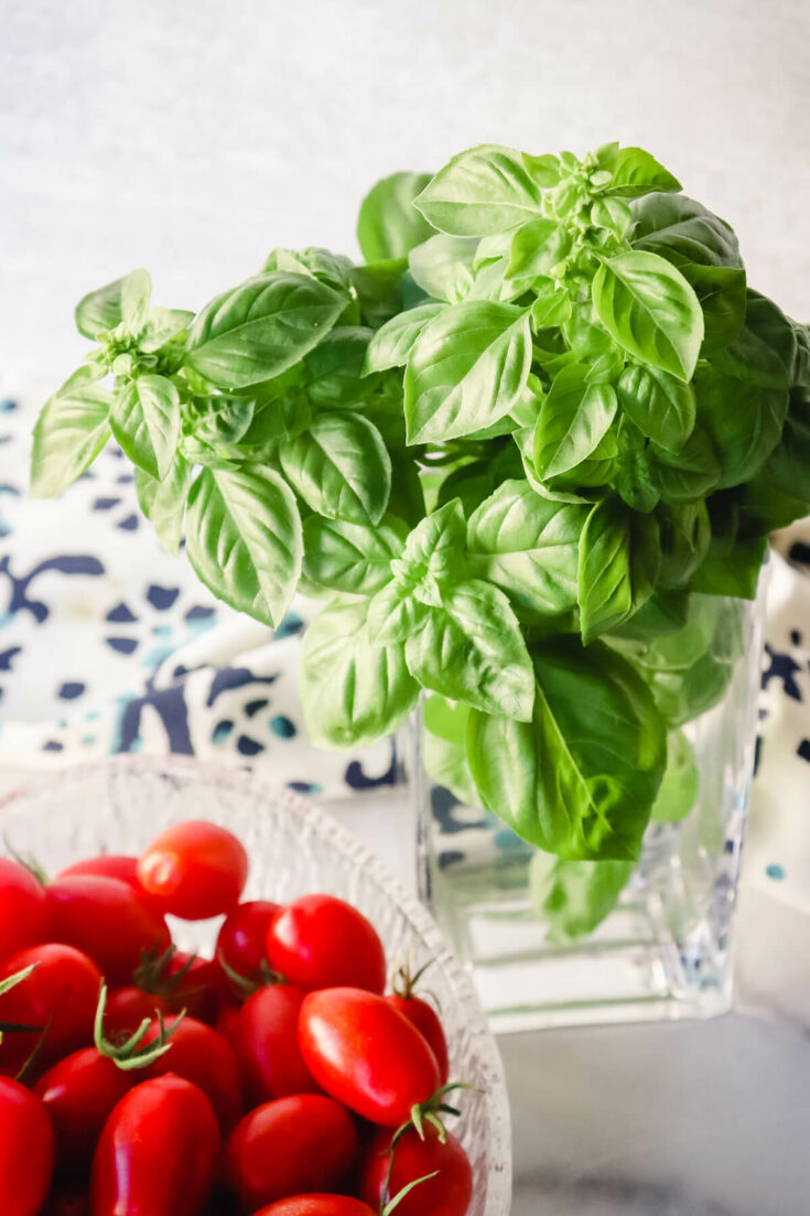 Fresh basil with tomatoes