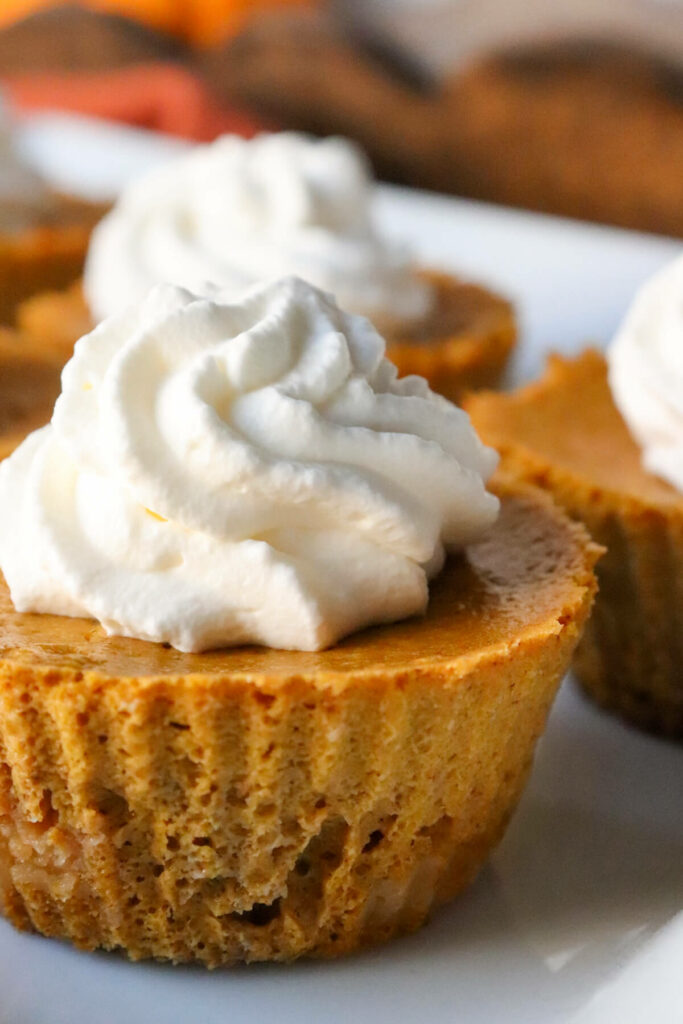 Close up of a mini keto pumpkin pie with piped keto whipped cream