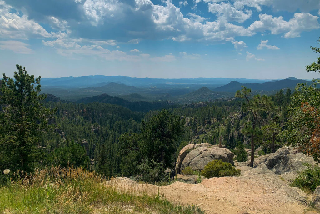 View at Custer State Park