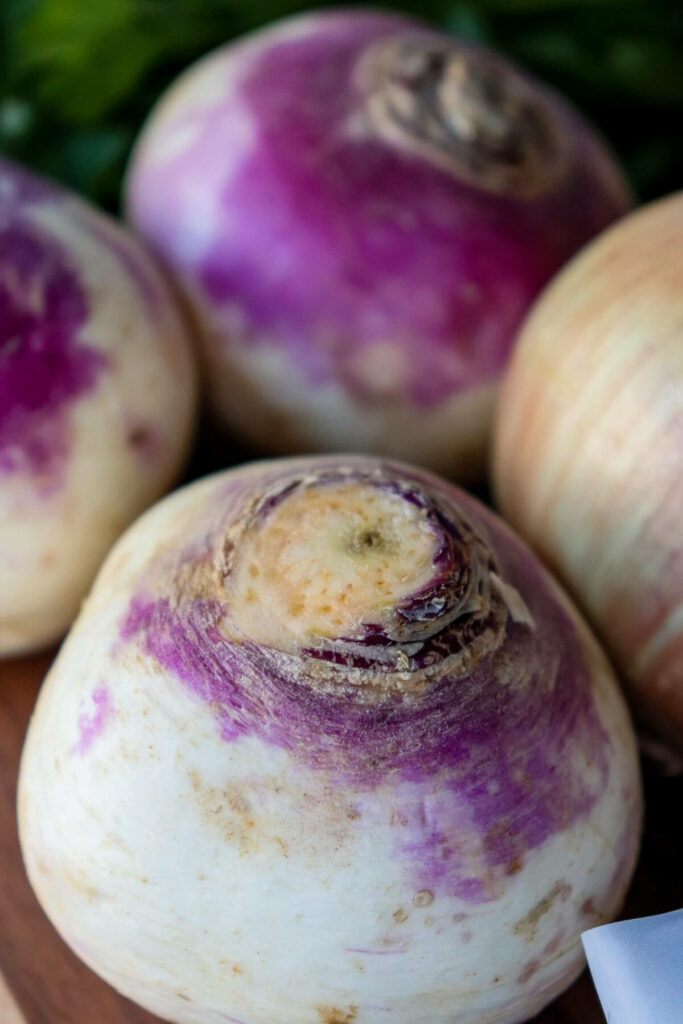 A close up photo of purple topped turnips and an onion