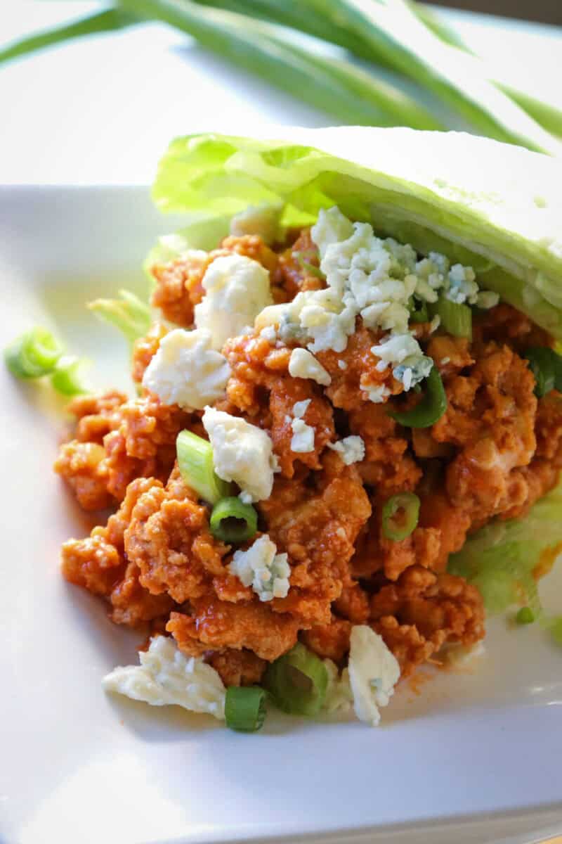 Buffalo Ground Chicken Sloppy Joes Explorer Momma