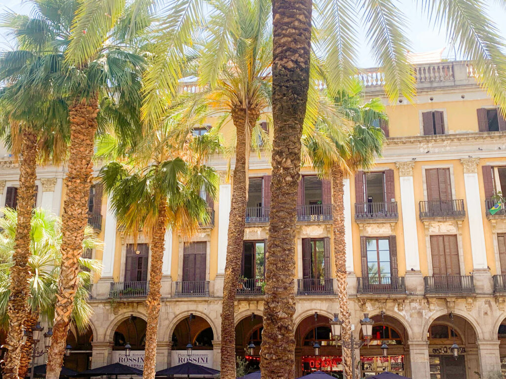 Plaça Reial with palm trees and building in back