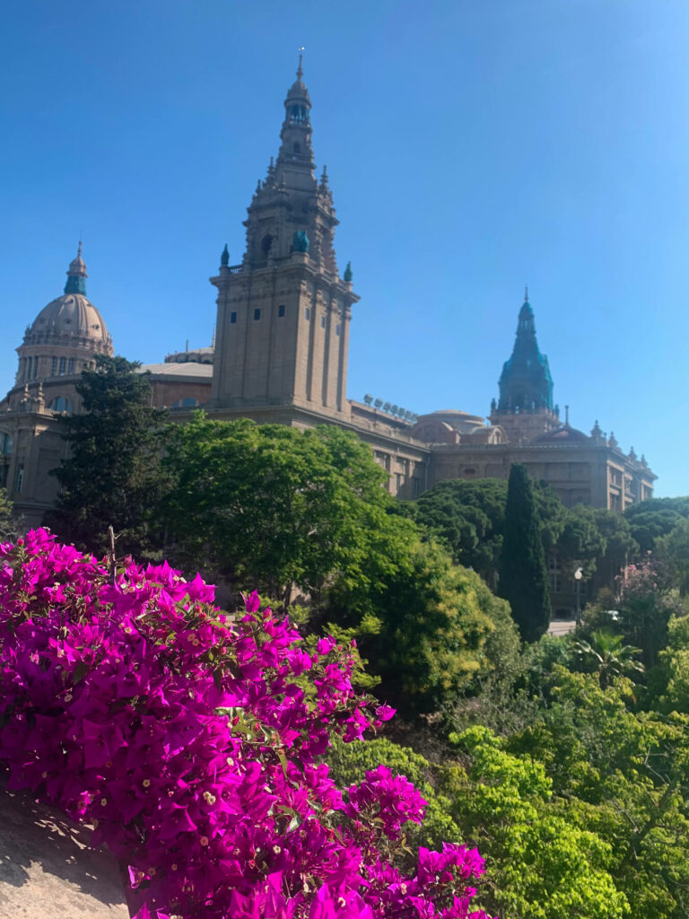 View of a building in Barcelona with magenta flowers in front