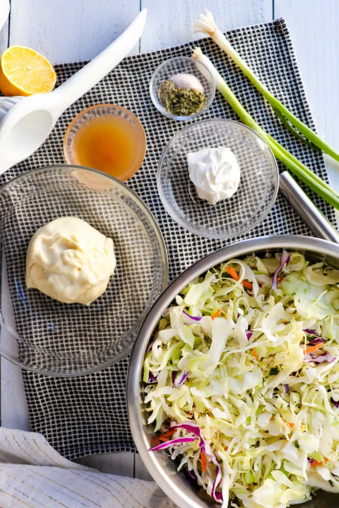 Overhead view of keto coleslaw ingredients