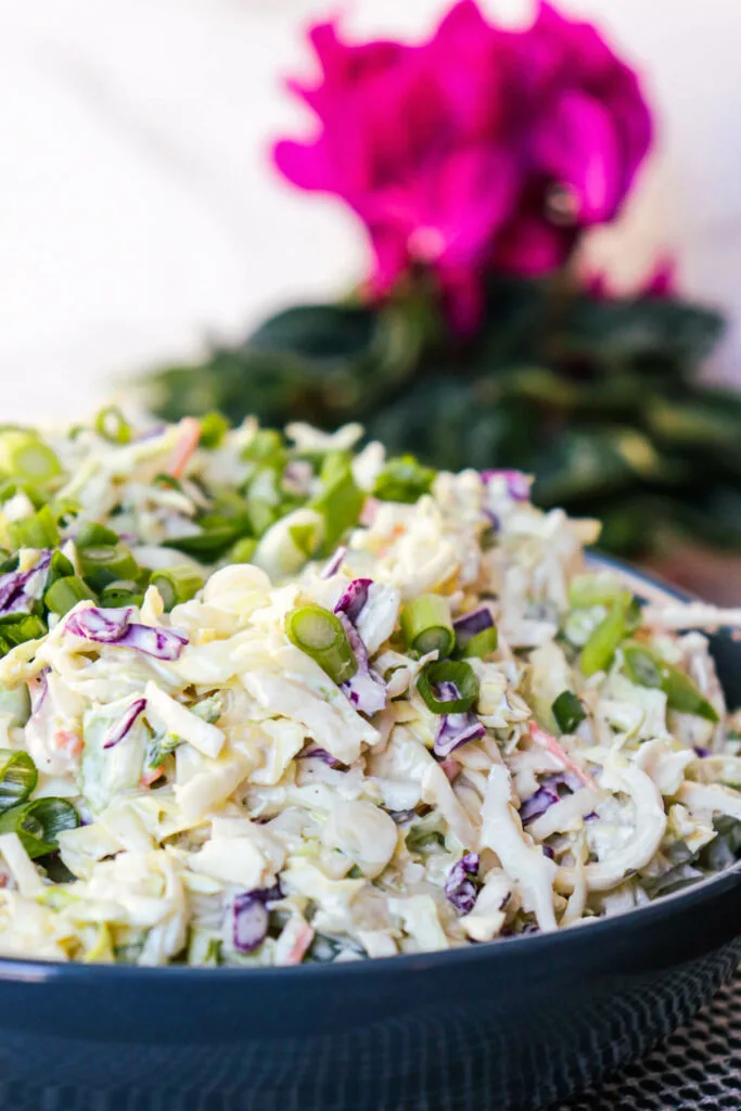 A front view of keto coleslaw in a blue bowl