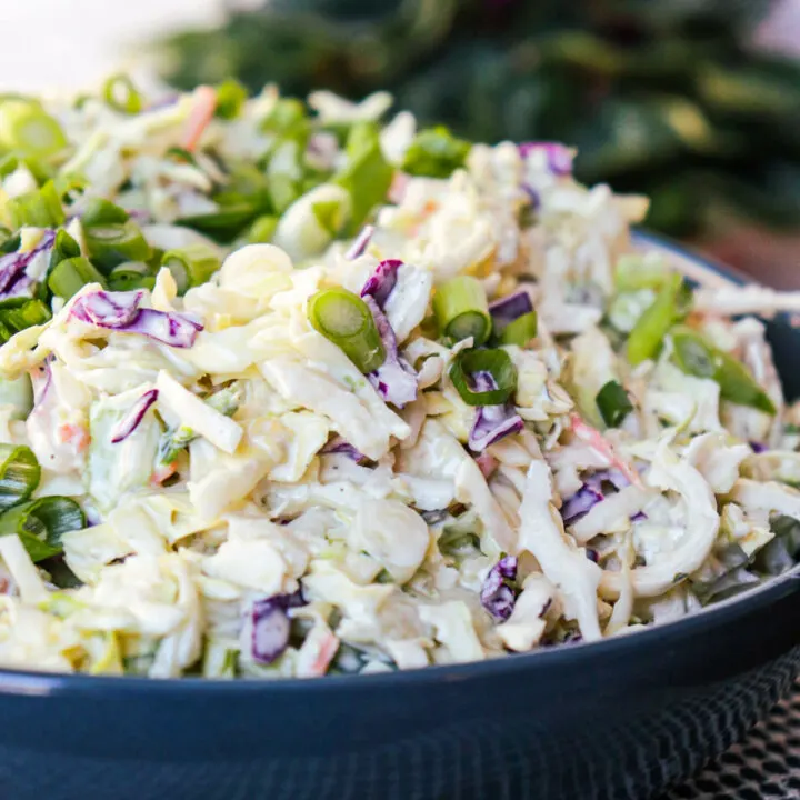 A front view of keto coleslaw in a blue bowl