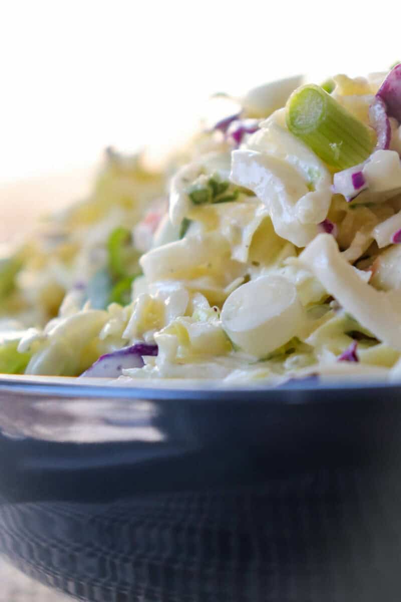 Easy Keto Coleslaw Recipe Explorer Momma