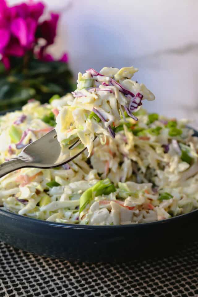Easy Keto Coleslaw Recipe Explorer Momma