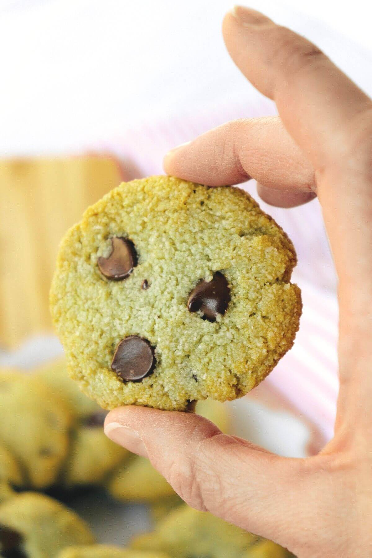 A hand holding up a gluten free matcha cookie with three chocolate chips showing