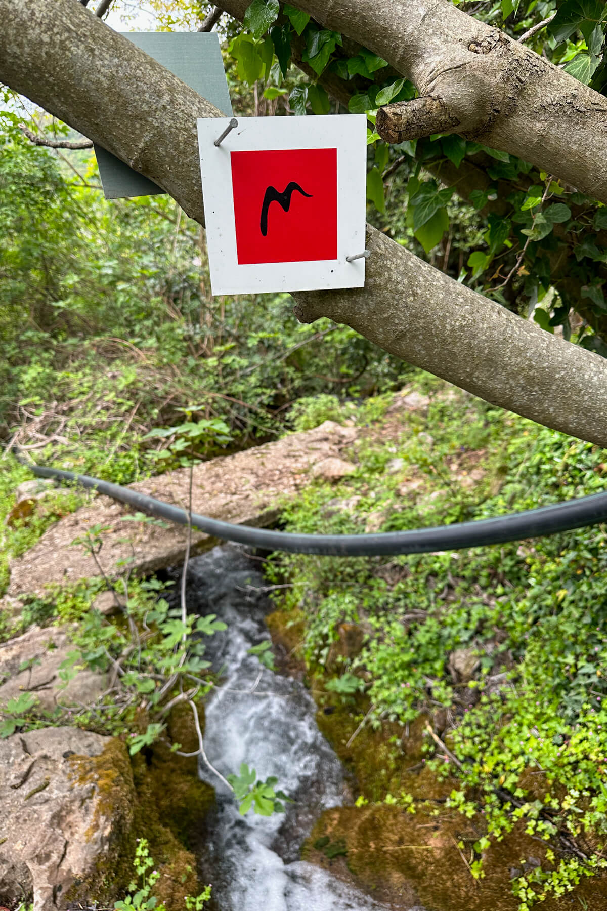 A square with a black M on a trail indicator sign for the Menalon Trail over a small stream