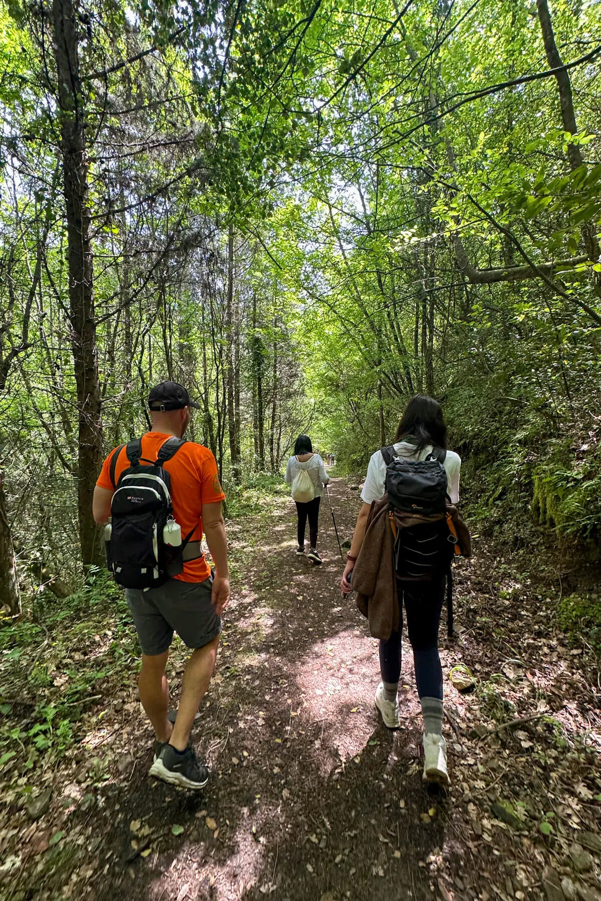 The backs of hikers on the Menalon Trail with backpacks.