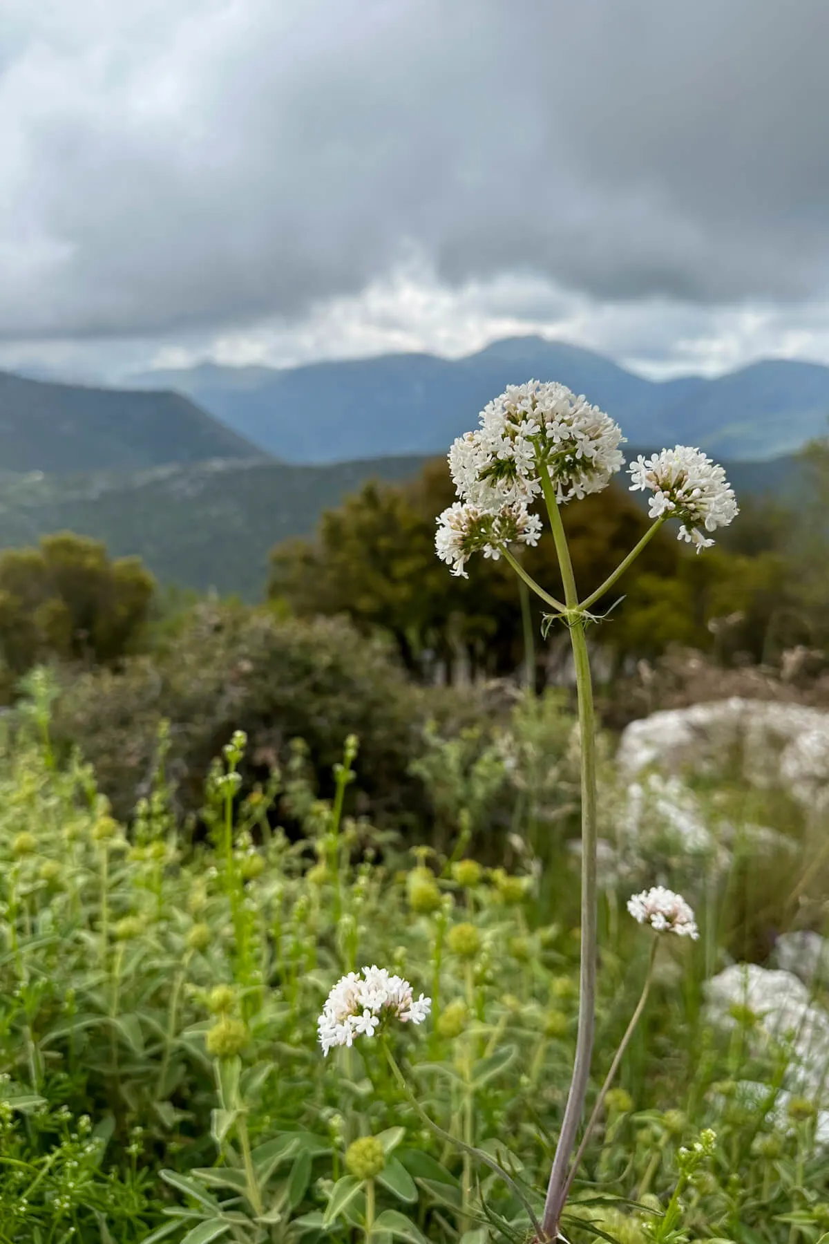 Beautiful view of the countryside around Dimitsana