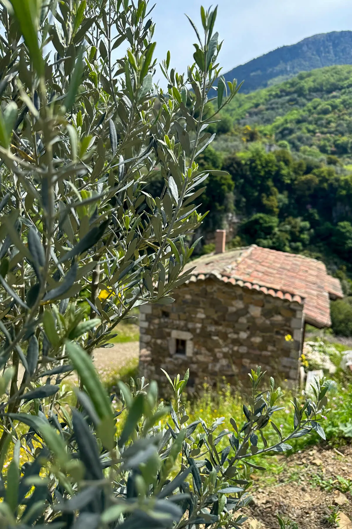 A view from the Menalon Trail of a stone cottage in the mountains of Greece