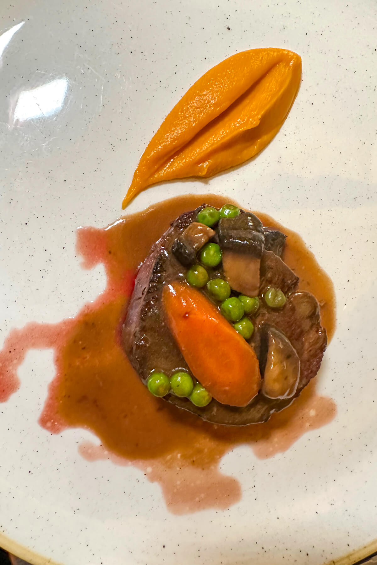 Overhead view of my filet mignon with peas, carrots, and a sweet potato puree
