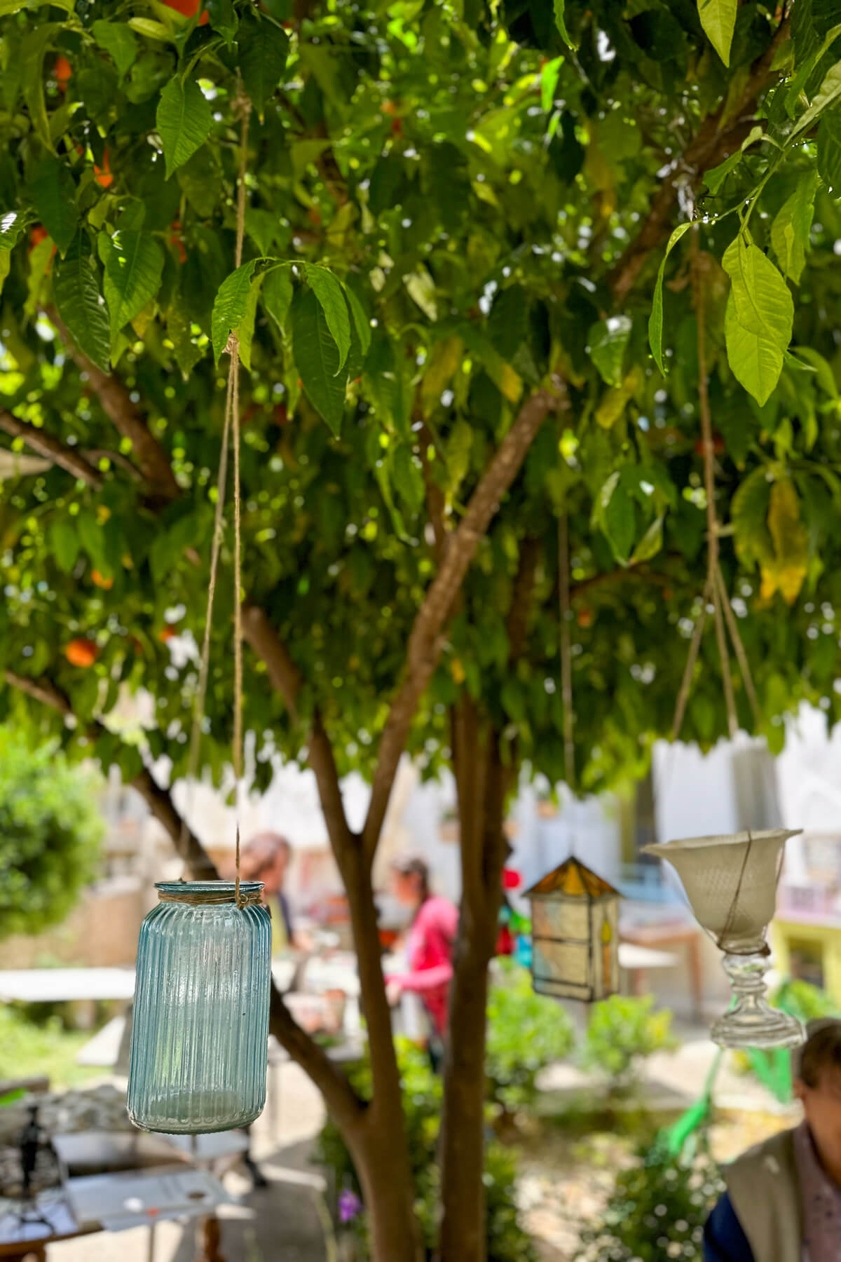 Glass jars and other items hanging down out of the orange tree in the mosaics yard