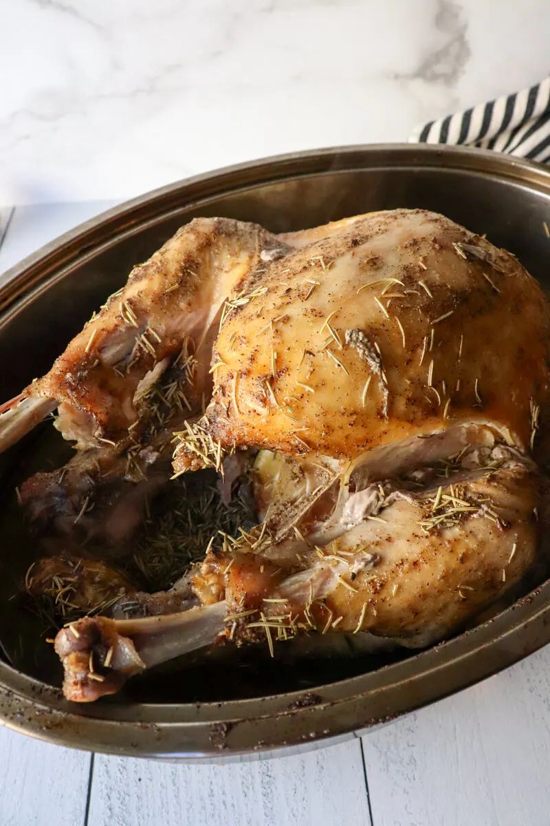 Overhead view of a roast turkey in a roasting pan.