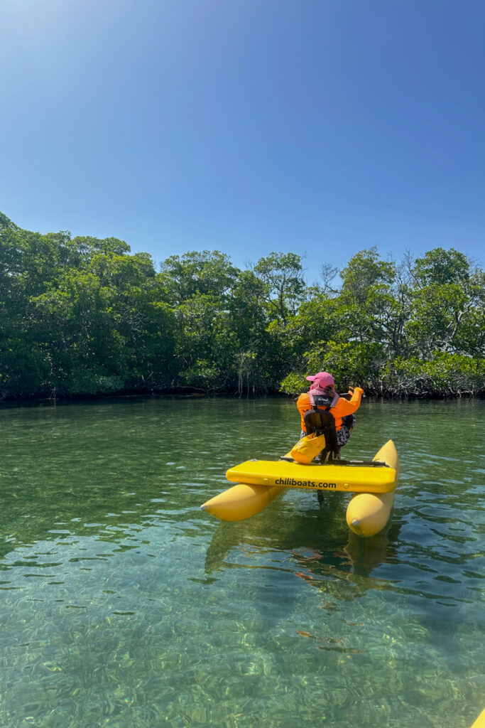 A woman on a yellow chili boat in front of the mangrove trees