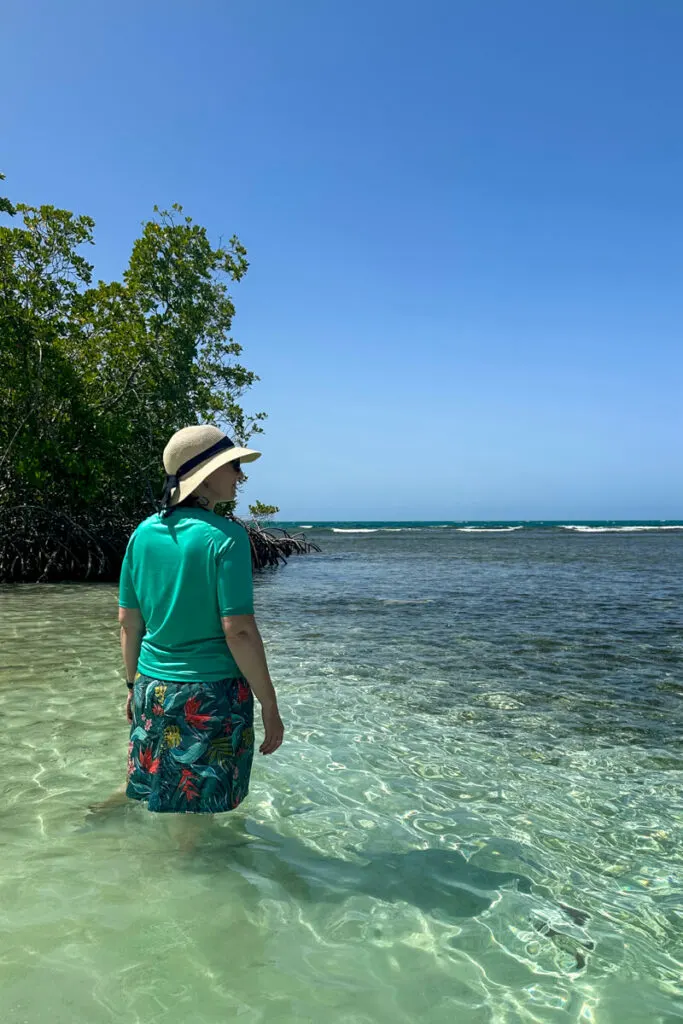 A woman in a hat and green shirt looking out over the water in front of the mangrove trees