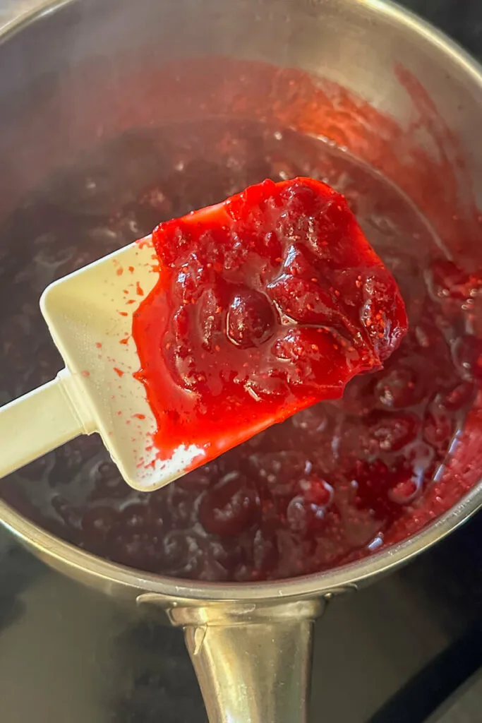 Overhead view of cranberry sauce on a white rubber spatula