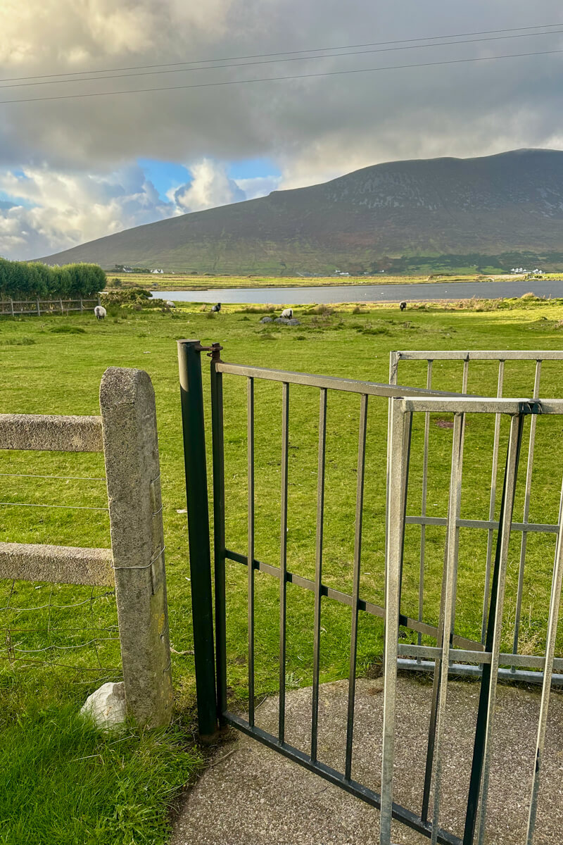 A view out the back of Keel Cottages, metal gate, grassy space, water and hills in the background.