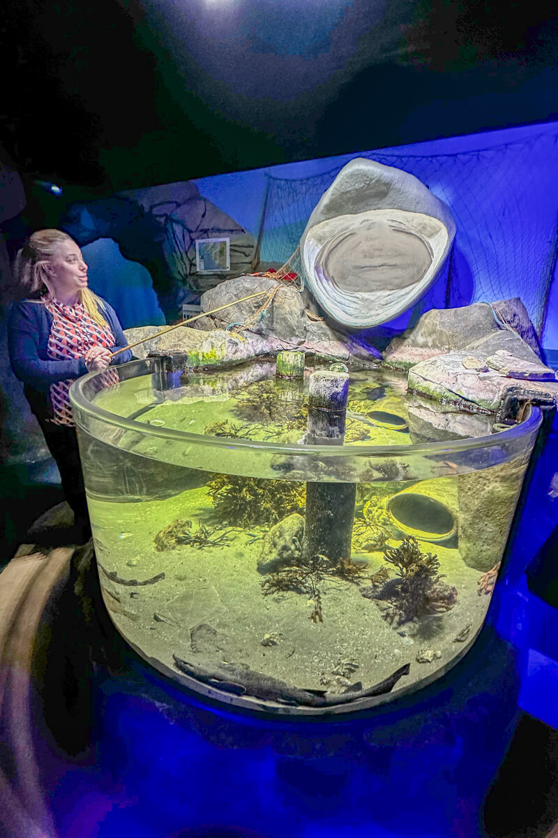 A front view of a tank at the Achill Aquarium with a woman speaking about the local sea life