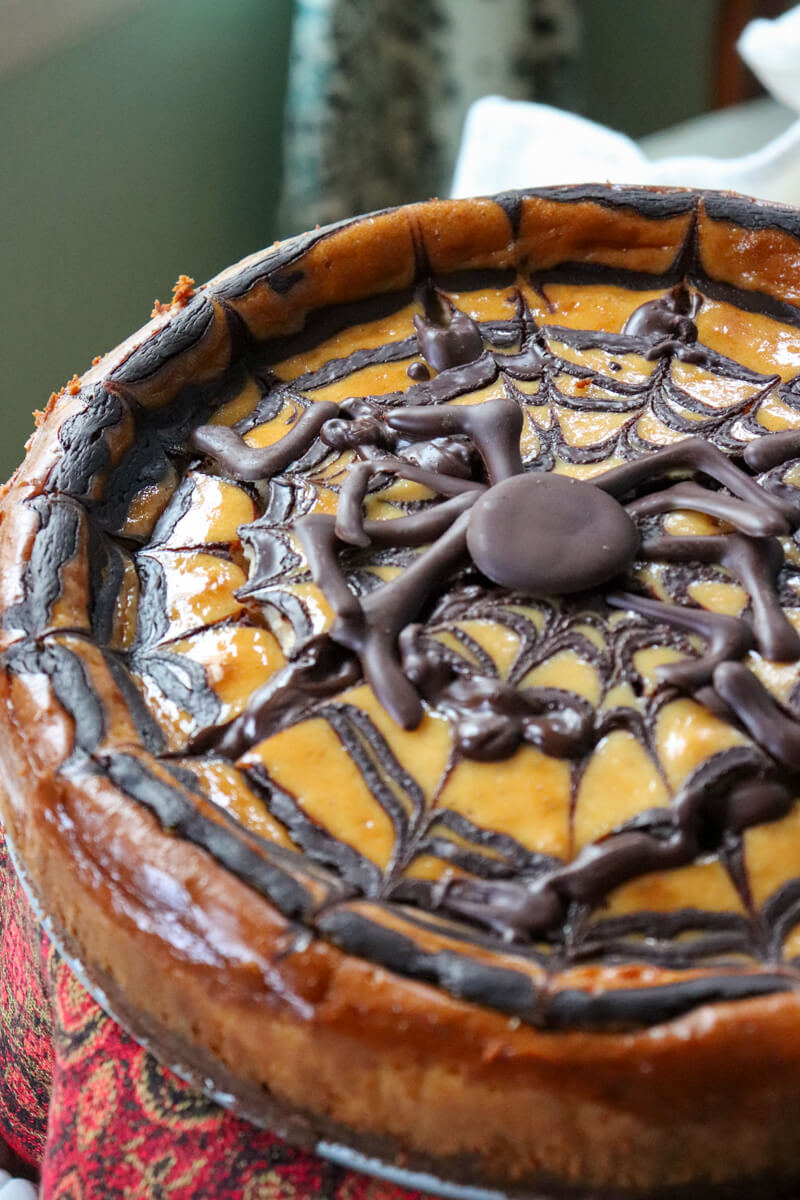 Closeup overhead view of a Keto eggnog cheesecake with a chocolate spider.