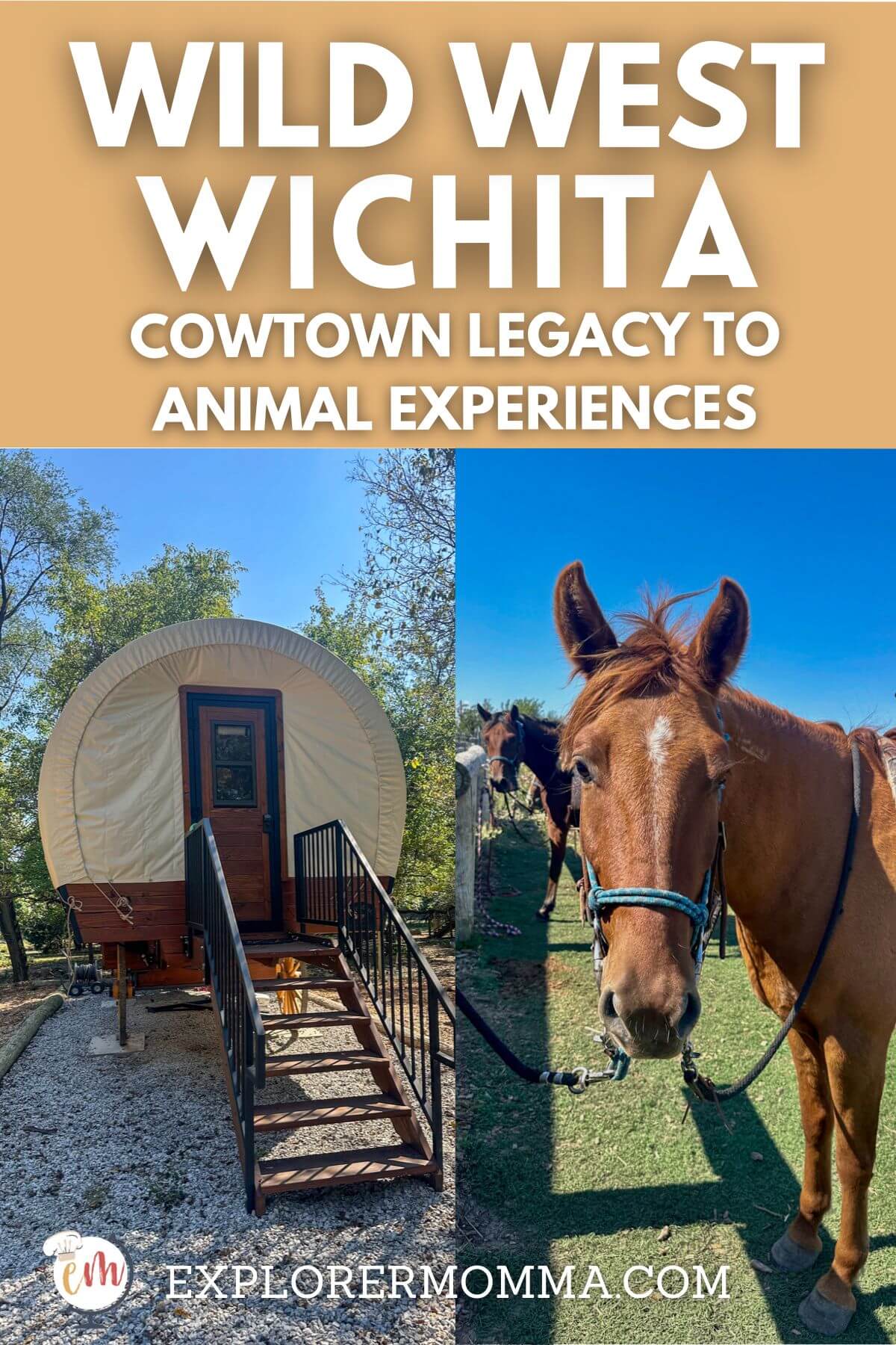 A picture of a brown horse looking at the camera next to a picture of a covered wagon glamping area with a picnic table. Text overlay: Cowtown Legacy to Animal Experiences, Wild West Wichita
