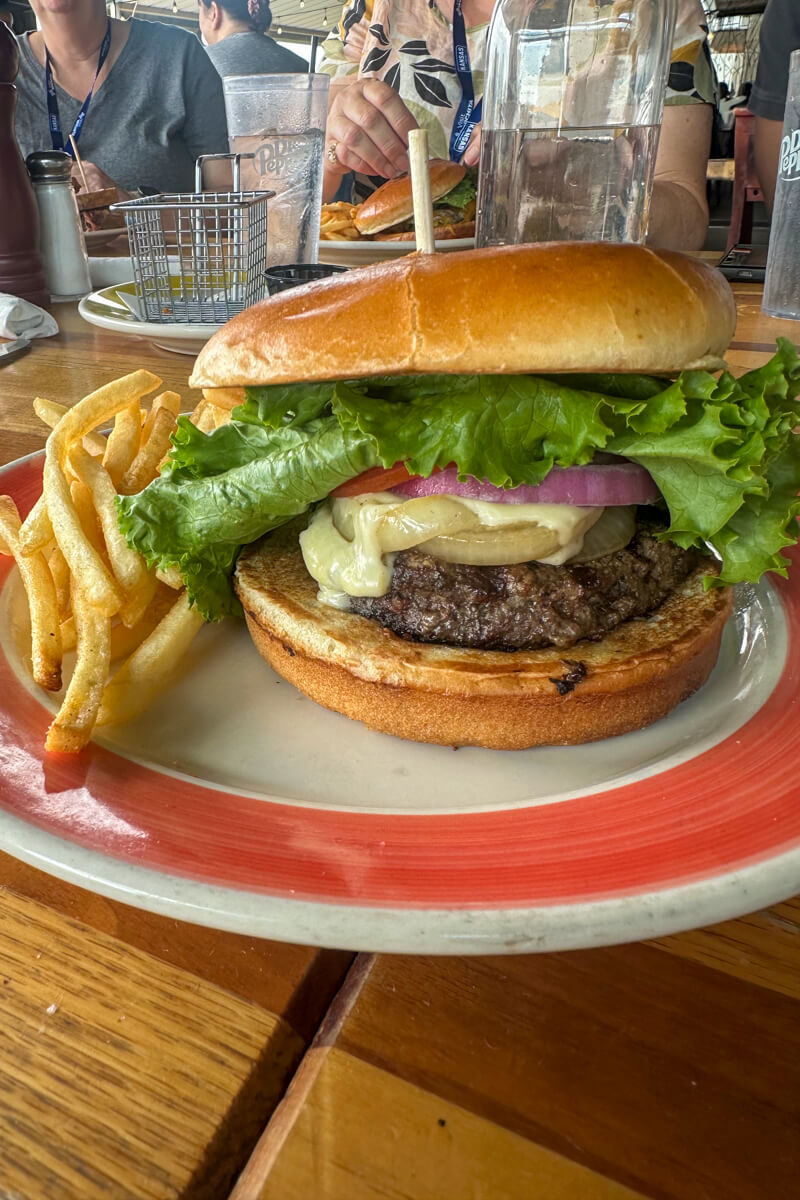 Front view of a cheeseburger and fries on a white plate with an orange circle around it