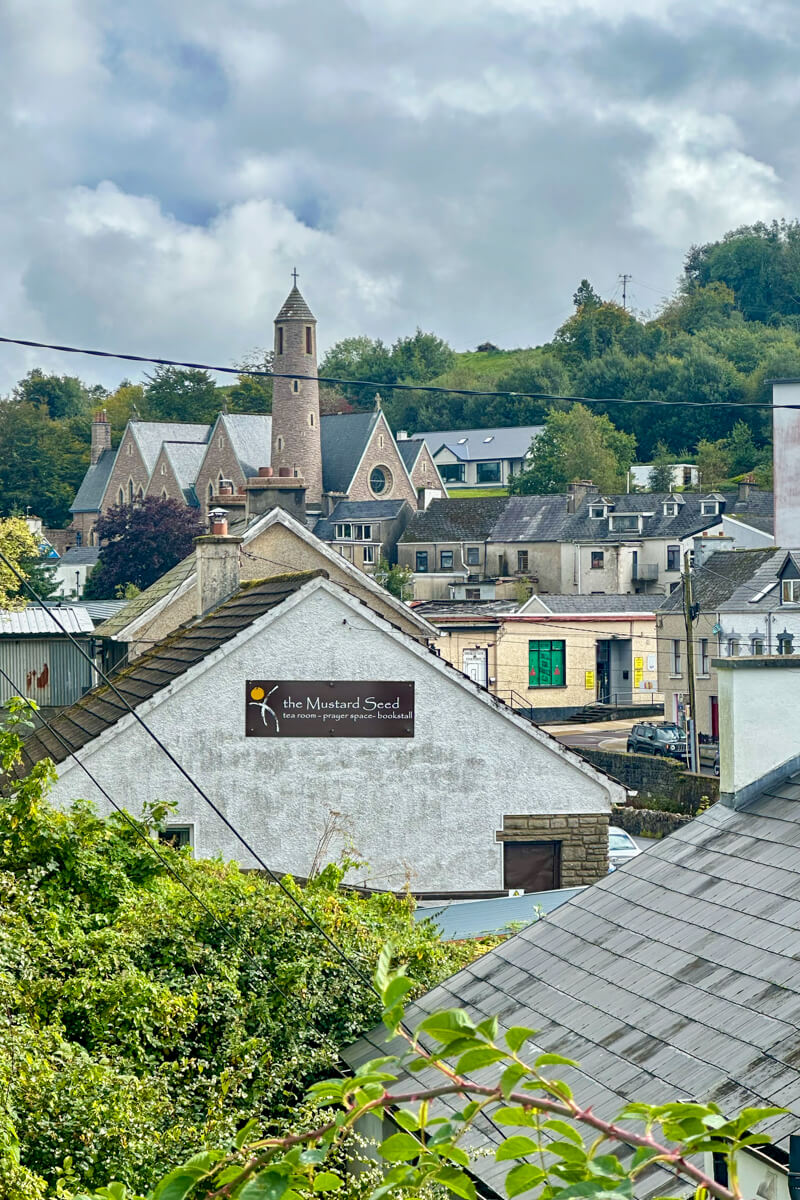 View of Donegal Town from the river