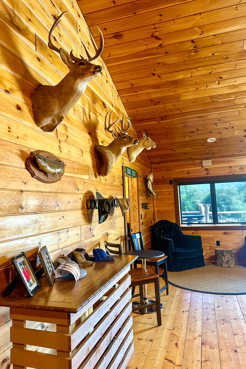 The inside of the lodge with honey colored wood walls and deer busts on the wall