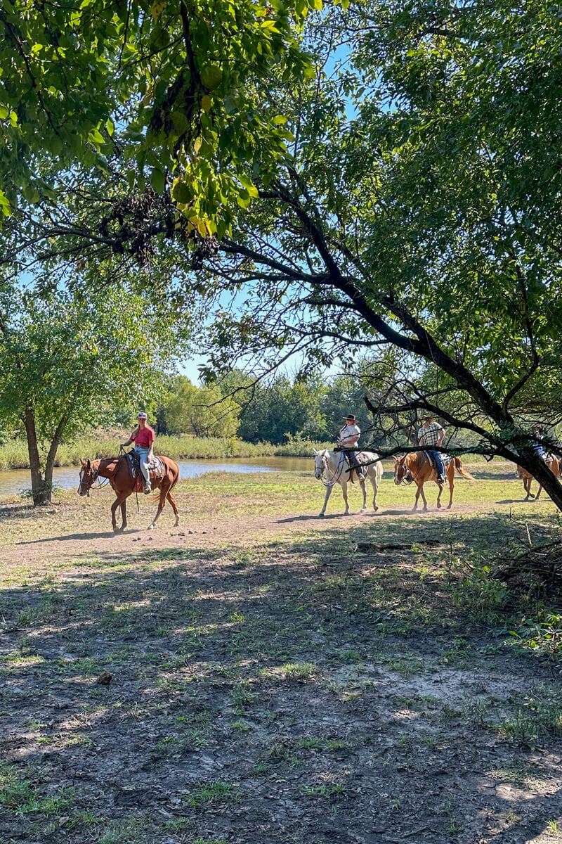 A line of horses and horseback riders coming through the trees on a path