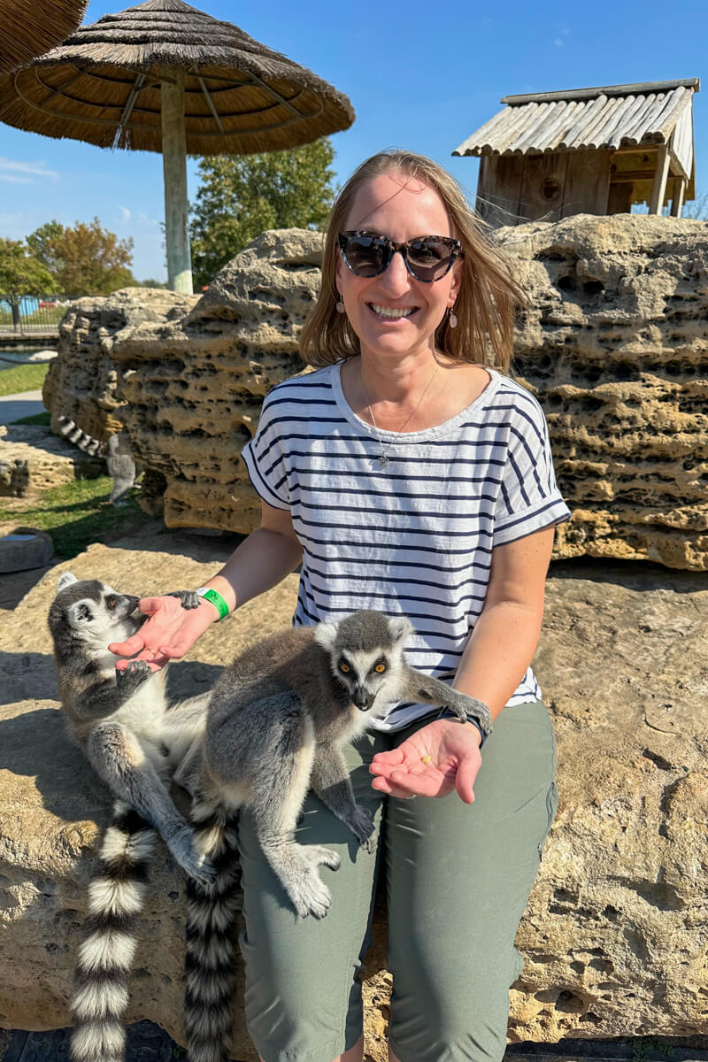 Woman in a striped t-shirt holding hands out for ringtailed lemurs grabbing her hands