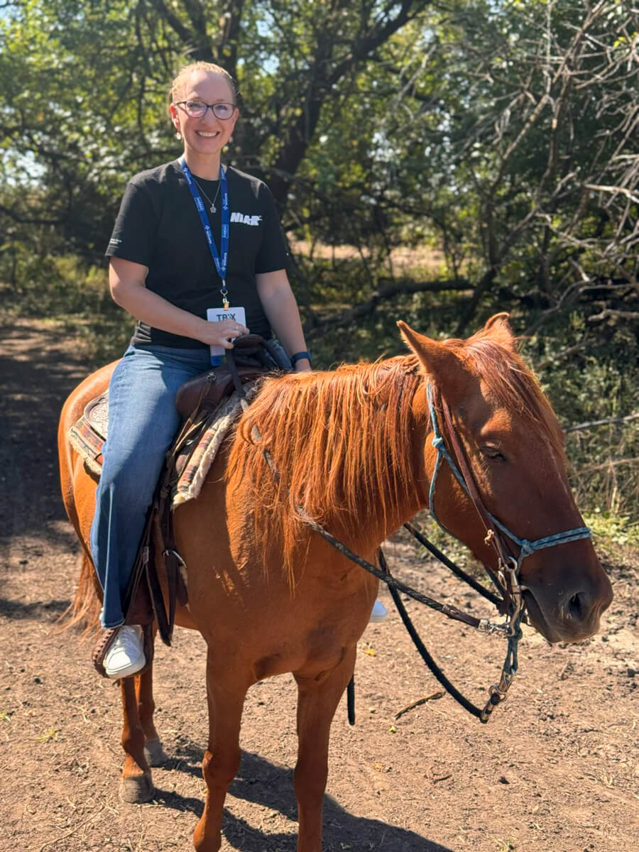 A woman with hair pulled back on a brown horse.