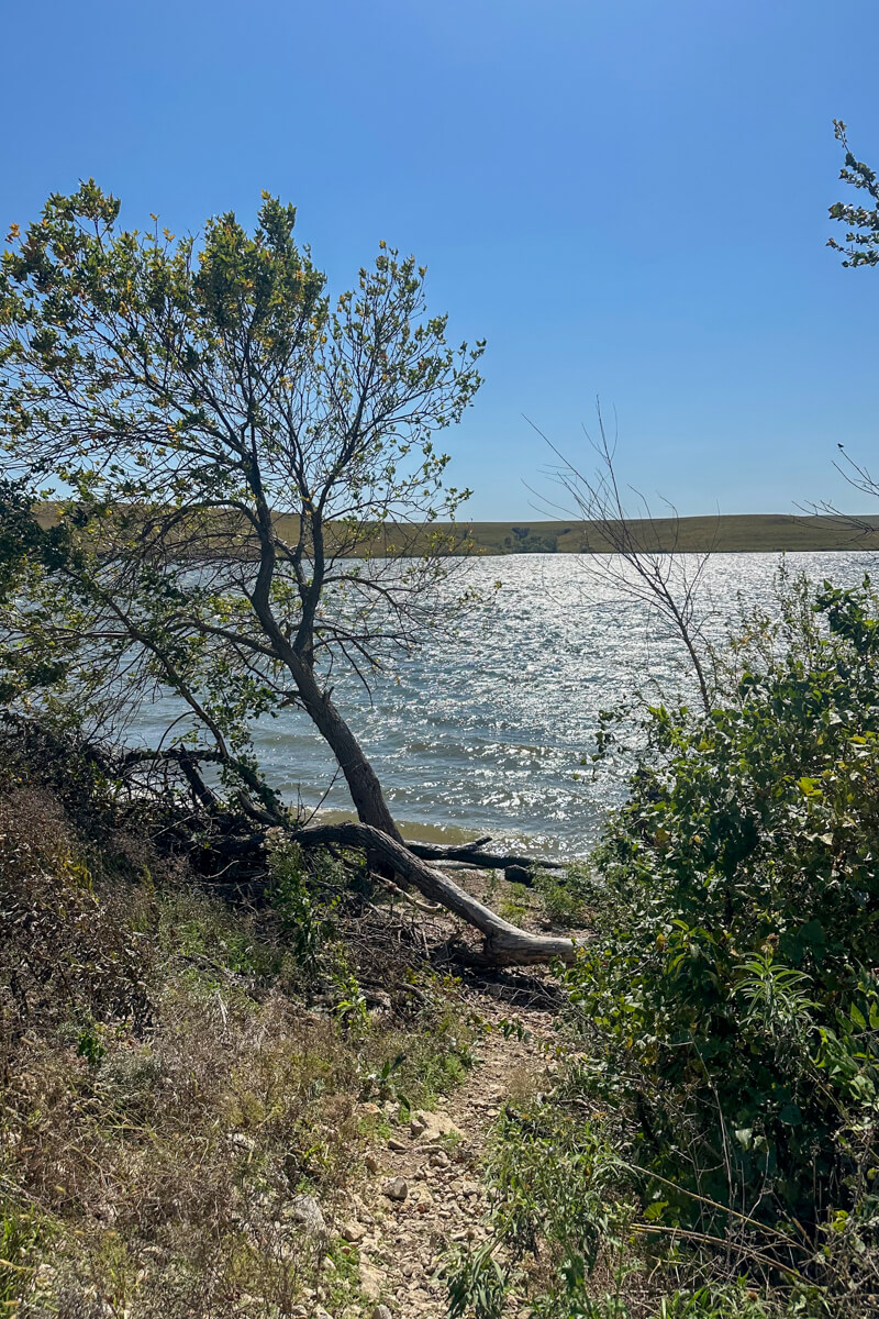 A view of Chase Lake from the shore with the sun shining on the water