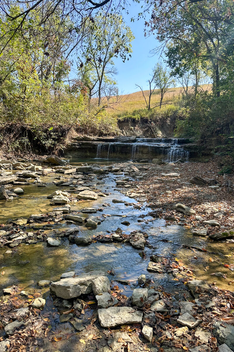 A view of stones and calm water looking up towards a small waterfall surrounded by trees.