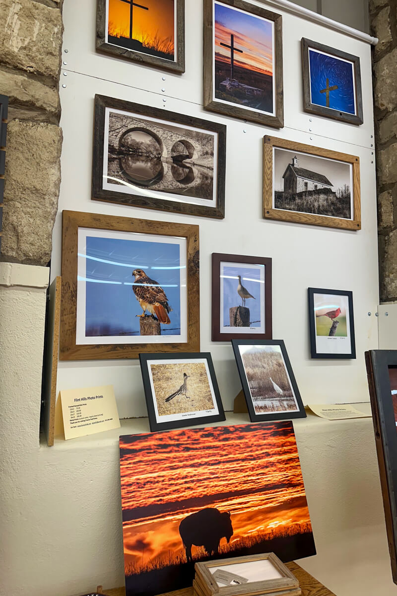 Nature photography in frames on display in a store