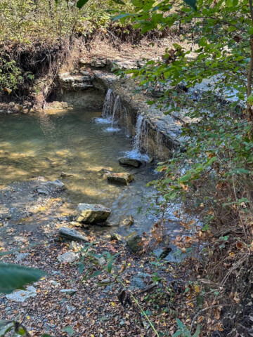 Foliage looking down on a waterfall.
