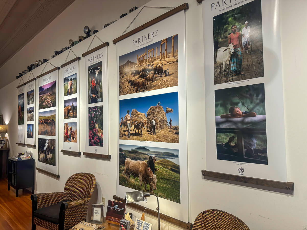 Wall of nature photographs in the Small World Gallery