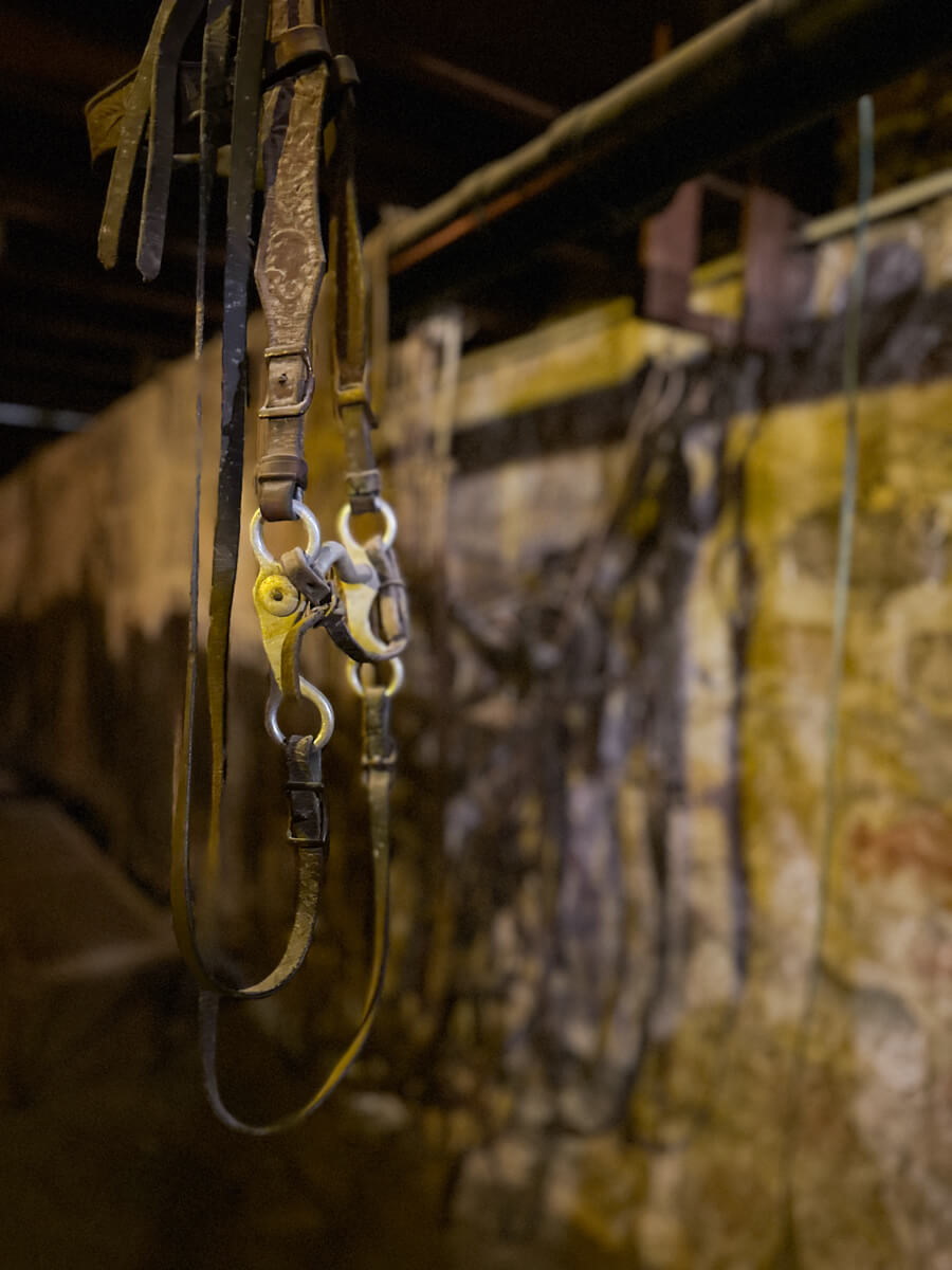 A closeup view of leather and metal horse and buggy gear in the underground shop in Ellinwood, Kansas
