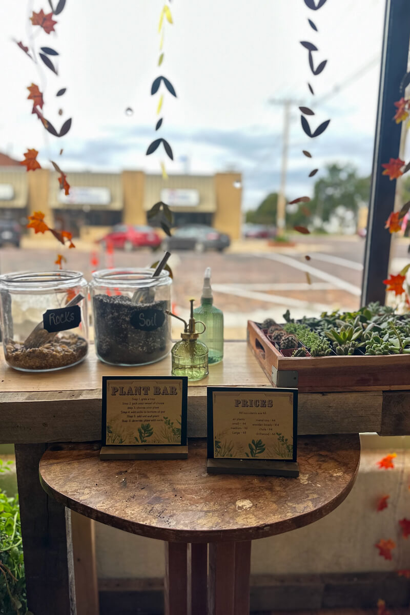 View from inside the shop of a table with plants and signs looking out the window to the view of the street