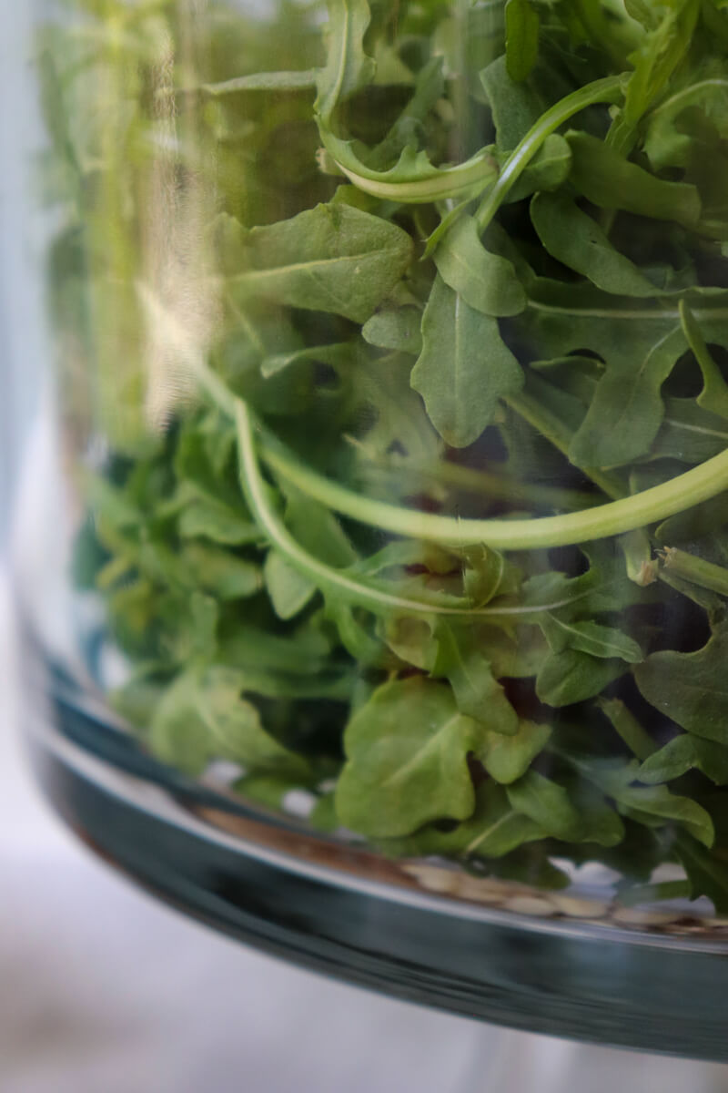View through the glass container of green arugula