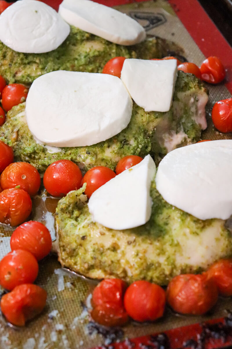 Baked pesto chicken with tomatoes and mozzarella ready to melt on a baking sheet