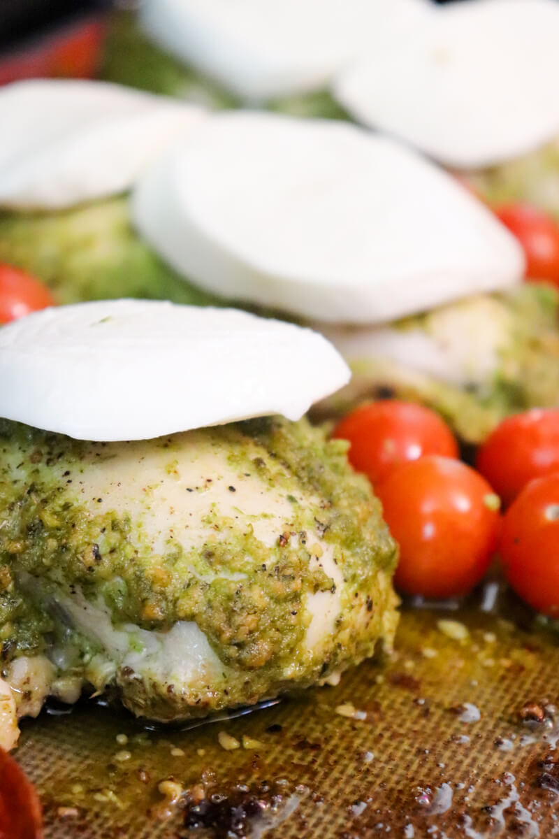 Baked pesto chicken with tomatoes and mozzarella ready to melt on a baking sheet