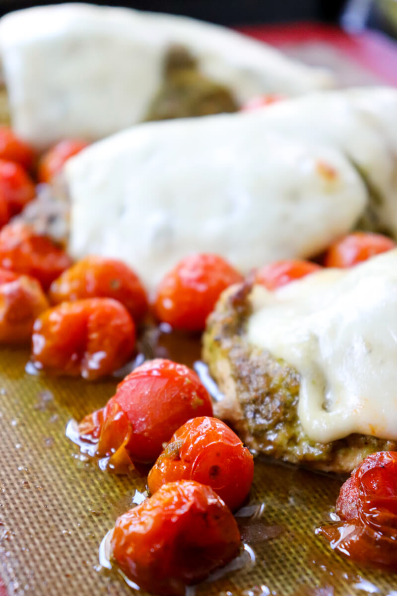 Front close up view of baked pesto chicken with tomatoes and mozzarella on the baking pan