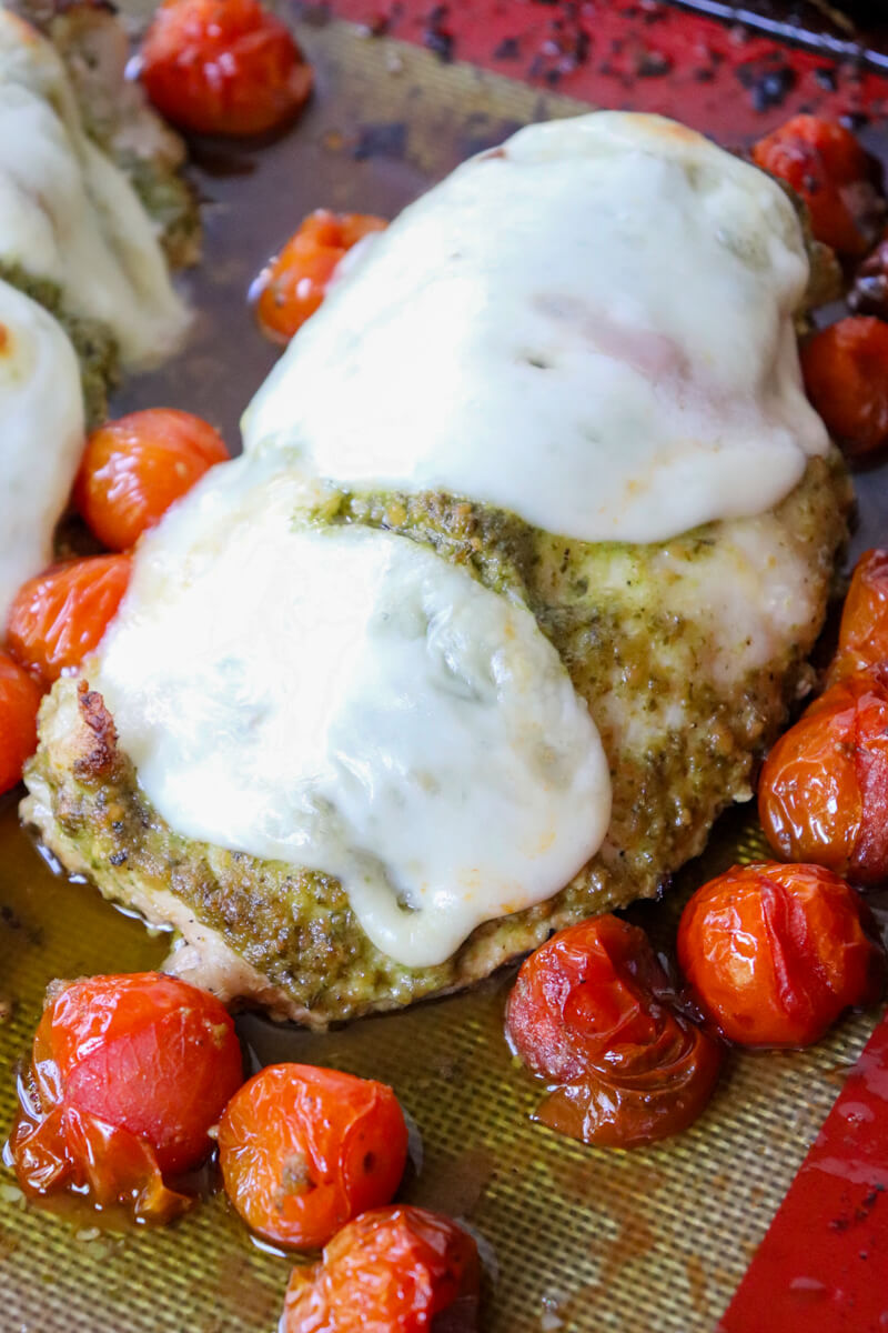 Close up overhead view of baked pesto chicken with tomatoes and mozzarella on the baking pan